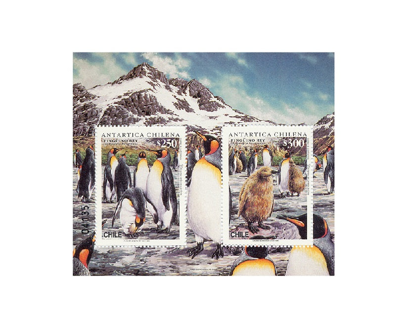 Antártica - 1996