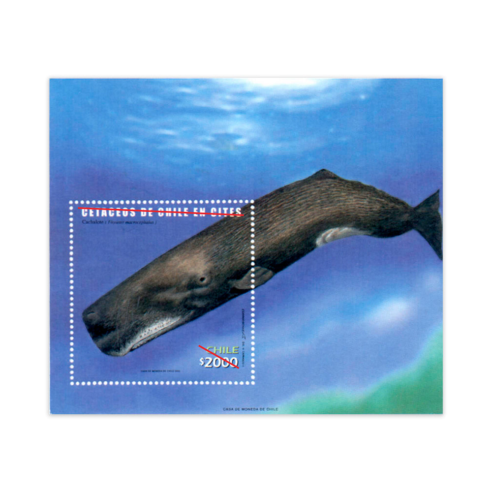 Cetáceos de Chile en CITES - 2002