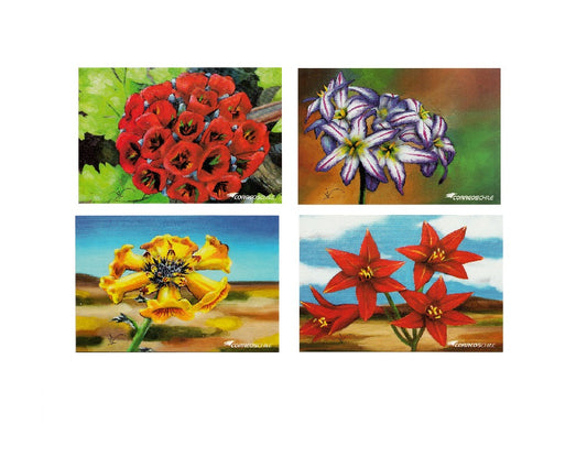 Kit Postales Desierto Florido